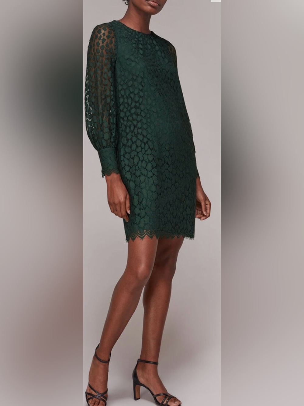 Women’s Whistle  Dark Green Animal Lace Tie Detail Dress Size 4